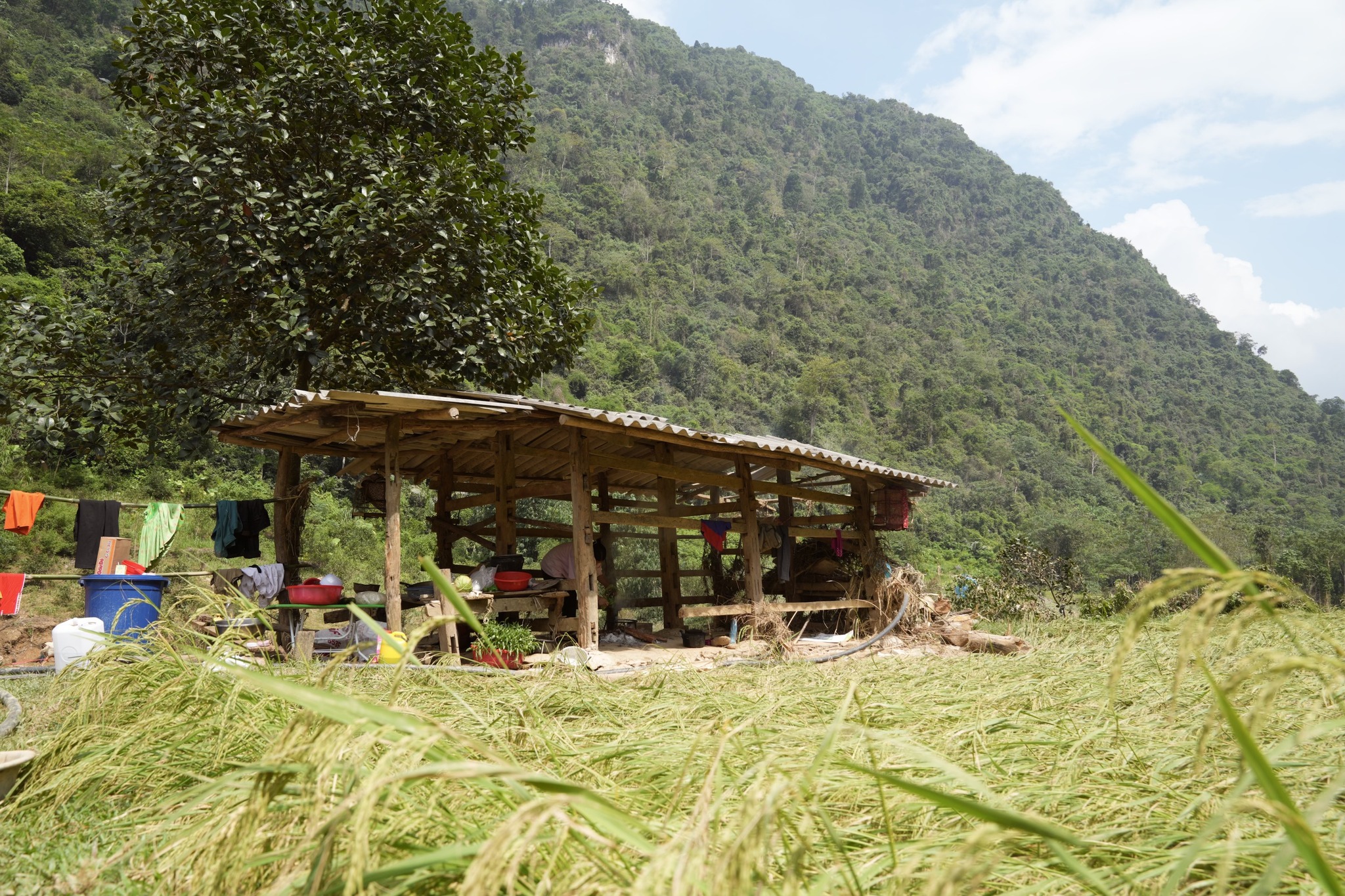 Mang Yêu Thương Về Vùng Lũ