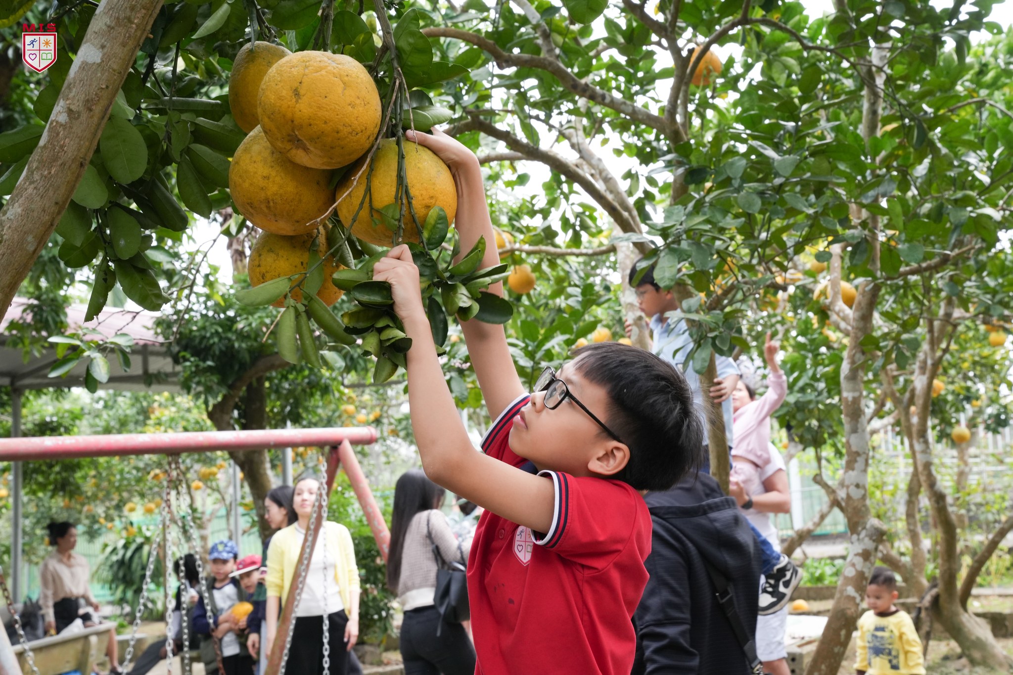 NGÀY GIA ĐÌNH MIS