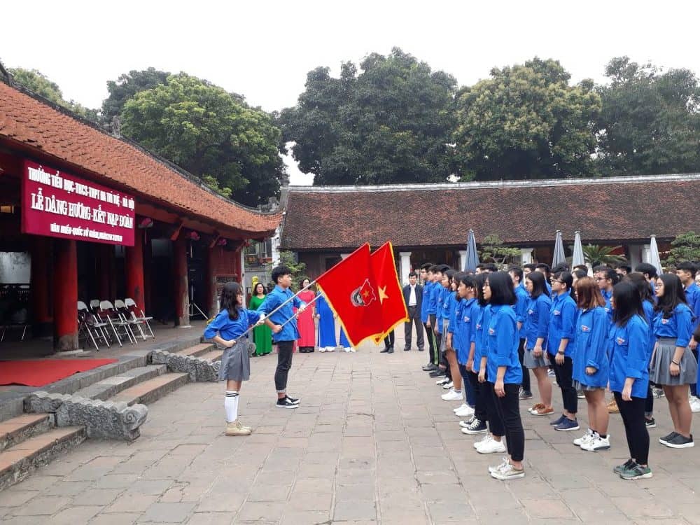 Hoa hướng dương chỉ nghênh đón mặt trời