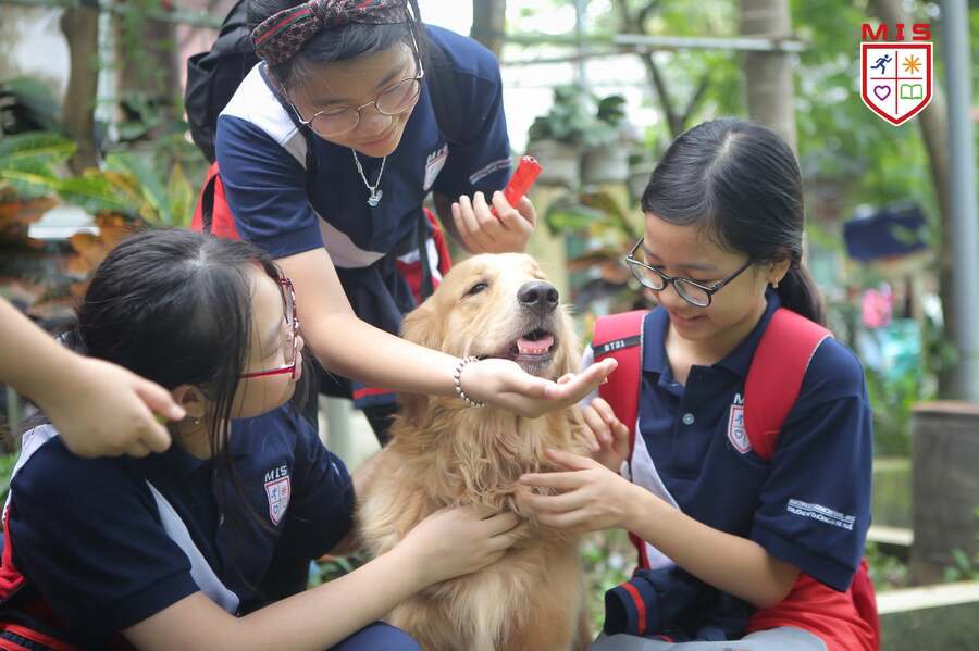 NGAY HÔM NAY, HÃY BẮT ĐẦU VỚI KỶ LUẬT VÀ SỰ TẬP TRUNG!