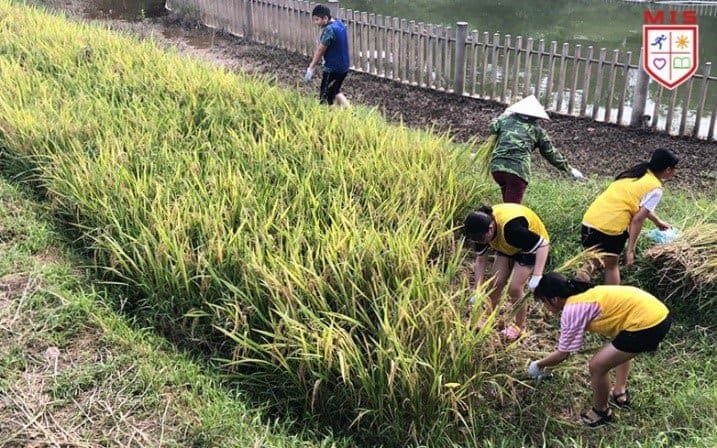 7A1 MIS TRẢI NGHIỆM MÙA HÈ – “TRẢI NGHIỆM SÁNG TẠO KÉO DÀI”!