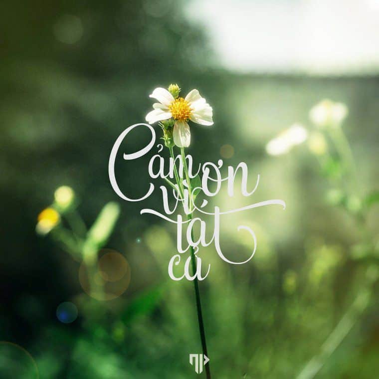 Biết ơn thầy cô