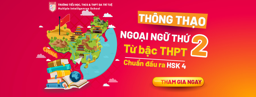 TRAO CHO CON ĐÔI CÁNH ĐẠI BÀNG – NHỮNG CHỈ TIÊU CUỐI CÙNG VÀO LỚP 10 THPT MIS