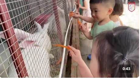 HÃY ĐỂ CHO BÔNG HOA TỰ NỞ & TOẢ HƯƠNG THEO CÁCH RIÊNG