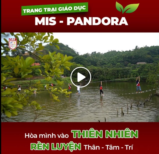 MIS PANDORA – NƠI KẾT NỐI TÂM HỒN – GIÚP CÂN BẰNG LÝ TÍNH & CẢM XÚC