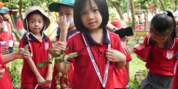 VỀ VỚI MÙA NHÃN NGỌT