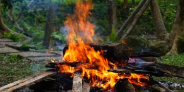 BÀI TẬP TẾT ĐẶC BIỆT MISers HỌC QUA TRẢI NGHIỆM SÁNG TẠO