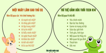 RÈN LUYỆN THÀNH CAO THỦ EQ – CƠ HỘI CHO CÁC BẠN TUỔI TEEN (11-17 TUỔI)